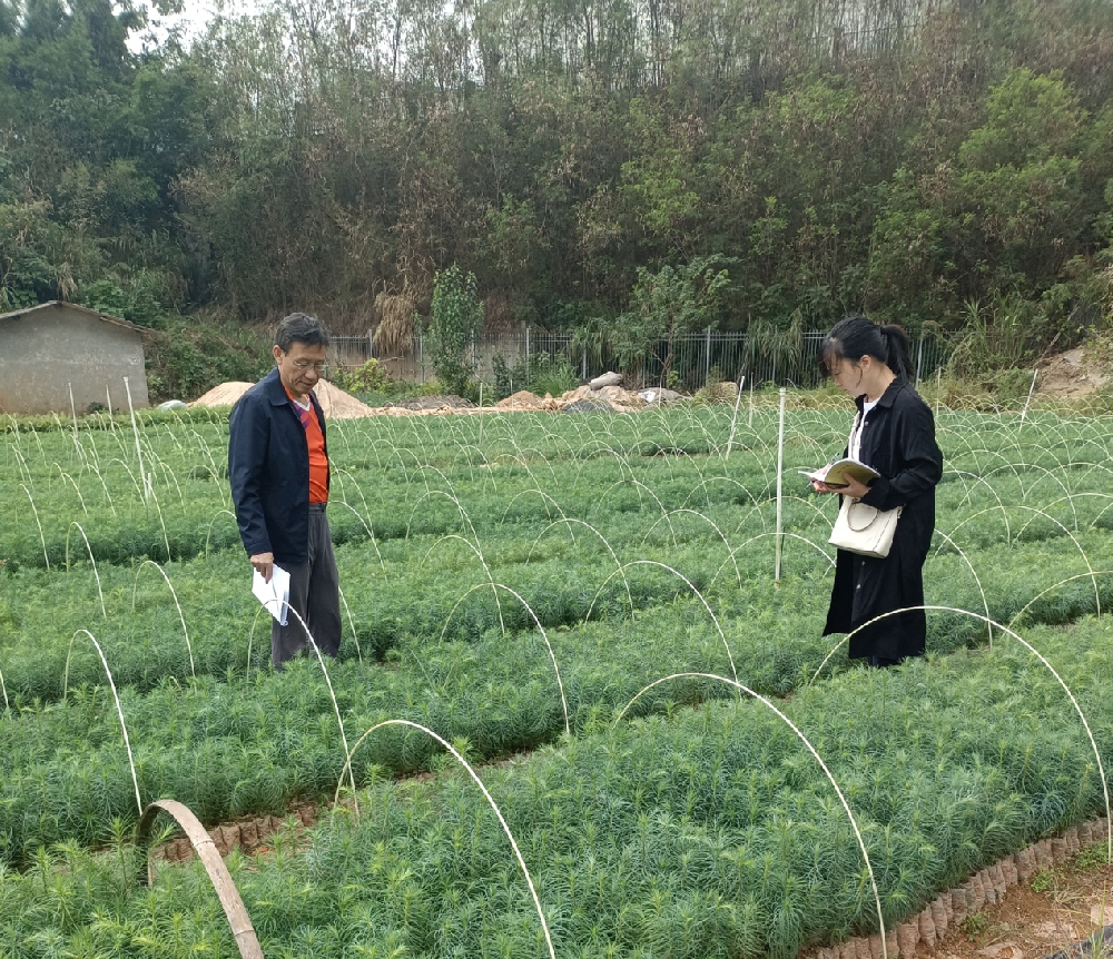 种苗中心顺利通过中央、省级财政林木良 种补贴项目验收