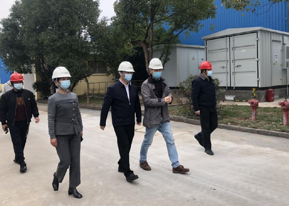 泉州市林业局局长郑进锡一行莅临9159金莎游艺场林业人造板厂参观考察