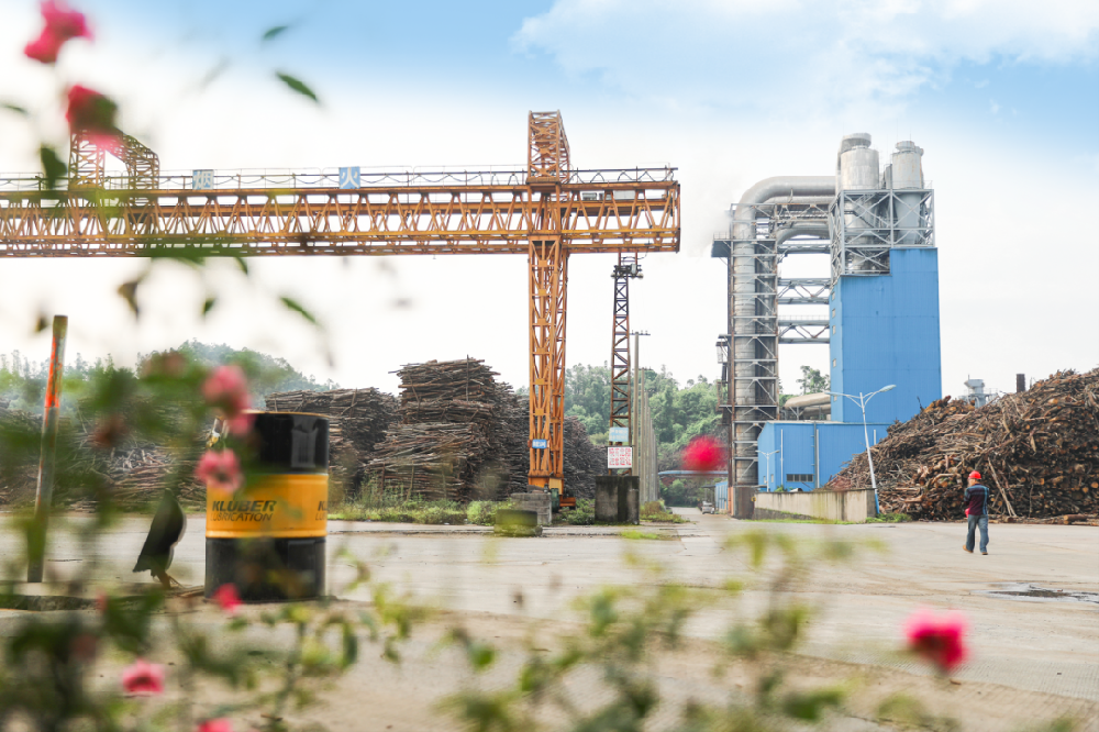 来自央企的春日明信片，请查收