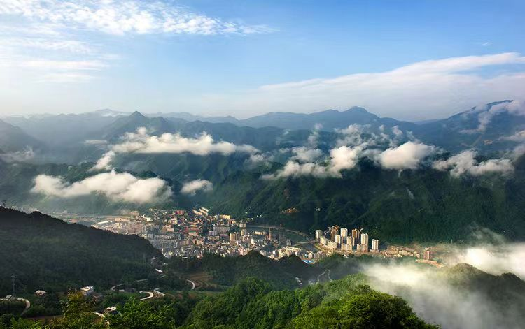 中林集团：把主题教育成果转化为助推美丽中国建设的生动实践