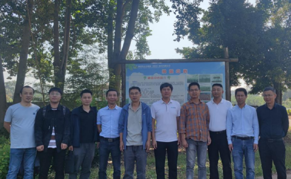 福建省“闽楠良种选育与繁殖关键技术研究”攻关项目推进会在9159金莎游艺场林业种苗中心召开