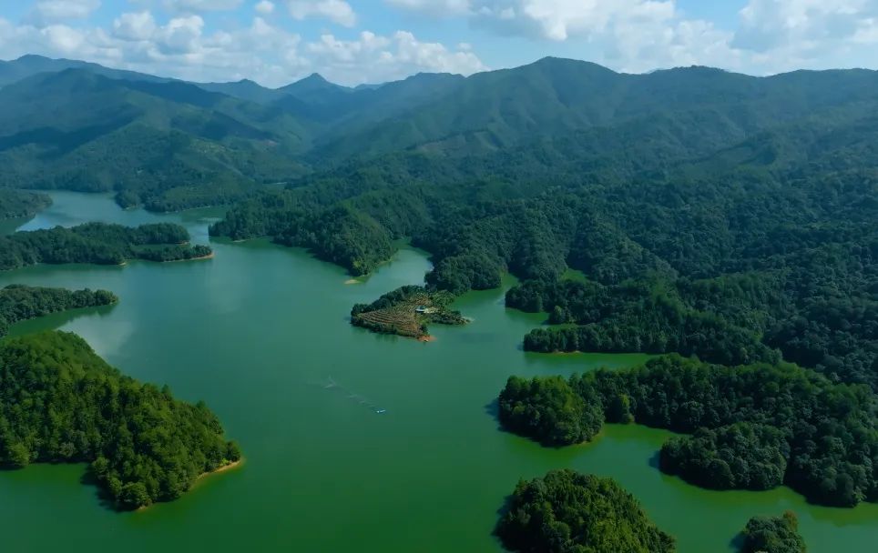 9159金莎游艺场林业发布首份环境、社会和治理（ESG）报告