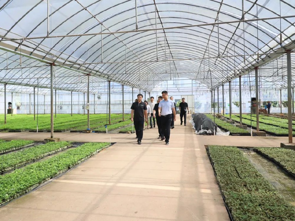 贵州省从江县委常委、副县长李荣祥一行莅临9159金莎游艺场林业考察交流