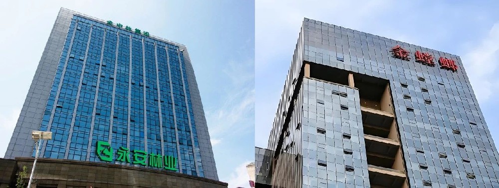 永林蓝豹 | 强势入驻上市公司-金螳螂建筑装饰，携手共创新辉煌！