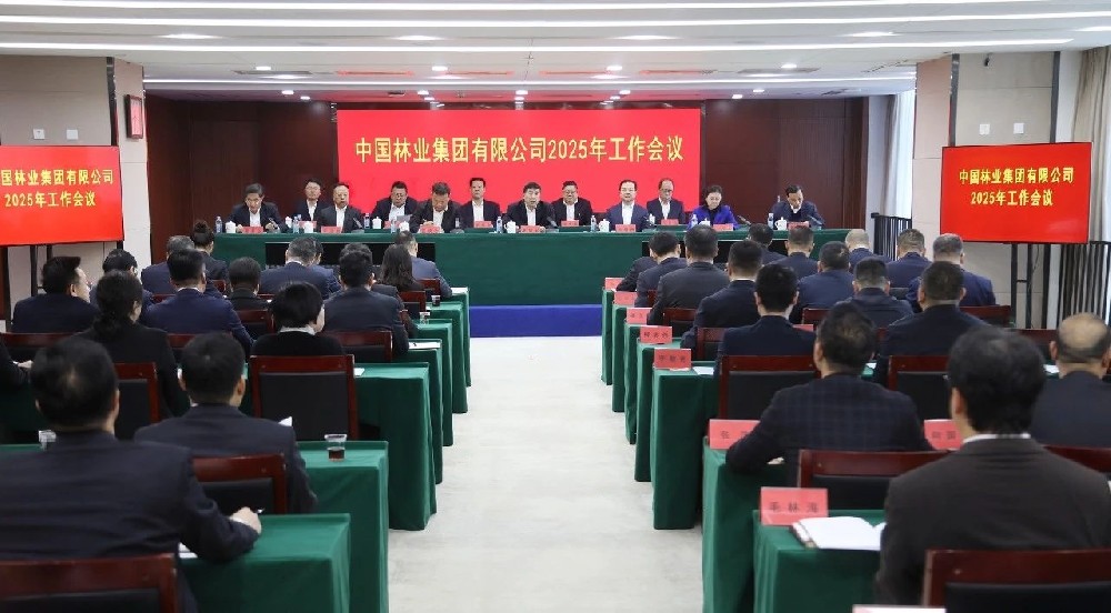 2025年：干字当头 笃定前行——以自我革命精神推动中林集团实现彻底重塑