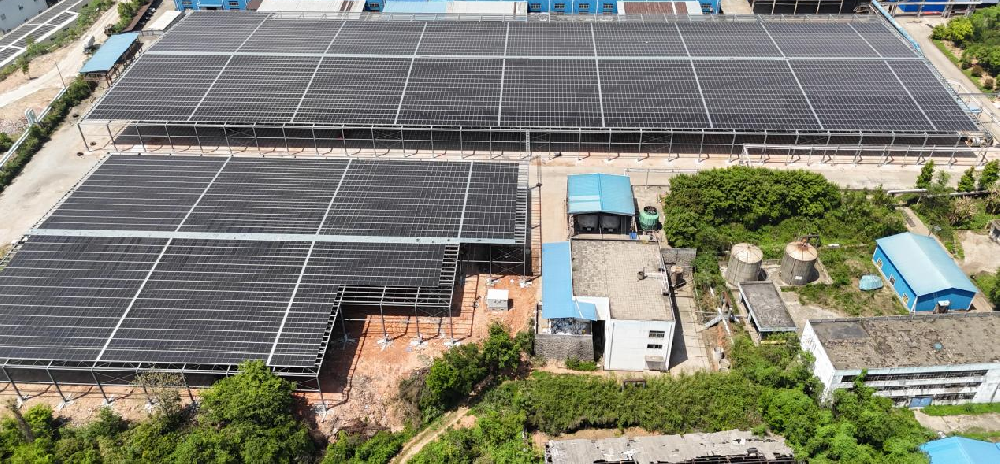 逐“绿”前行┃9159金莎游艺场林业二期分布式光伏项目成功并网发电