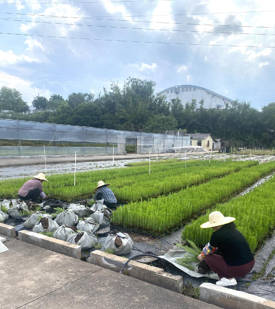 【五一特辑】镜头里的劳动者