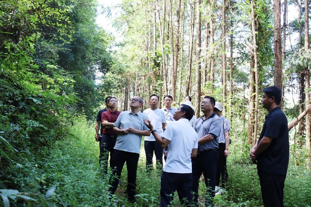 中国林业集团外部董事赴广东、福建开展林业产业高质量发展专题调研