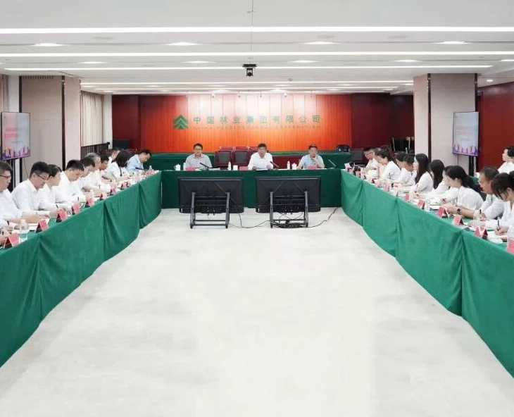 青春建功 实践砺能——中国林业集团召开总部青年干部基层实践活动成果交流会